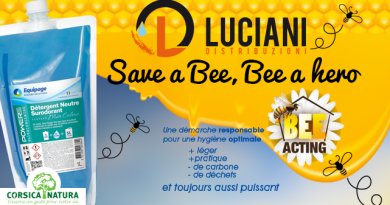 Save a bee, Bee Acting! Save a bee, Bee Acting!